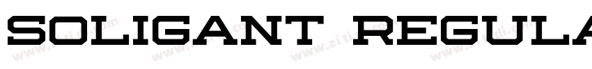 Soligant Regular字体转换 Soligant Regular字体转换